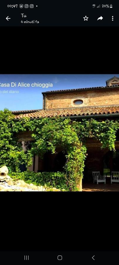 Alice e la sua casa Bed and Breakfast Chioggia Exterior foto